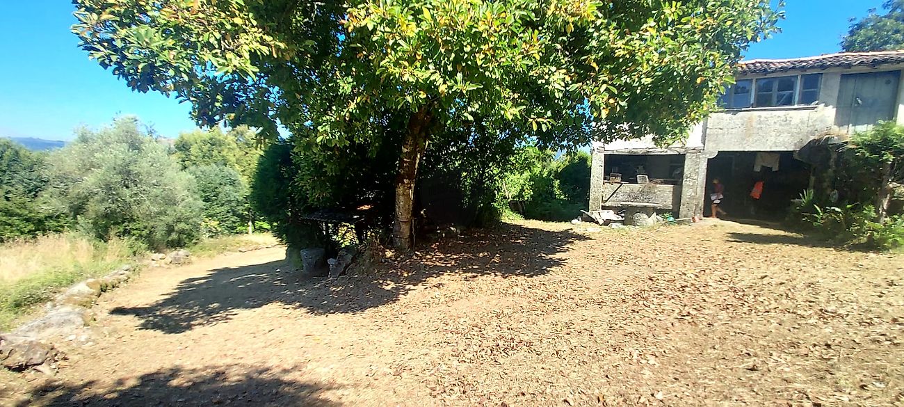 listing 123001097-119 picture-0