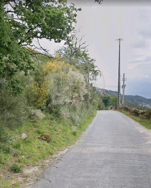 Terreno  para venda