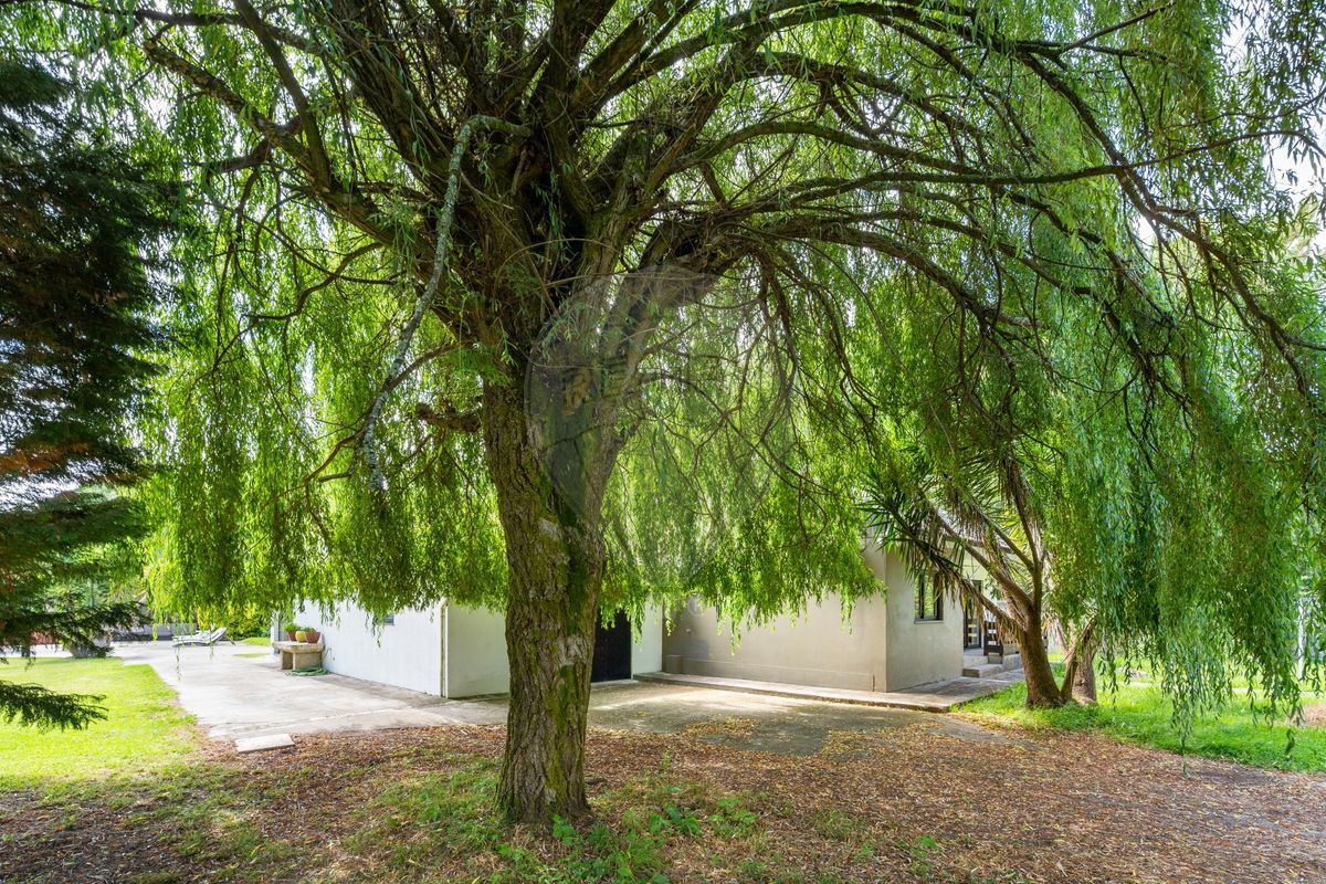 listing 123001034-1556 picture-0