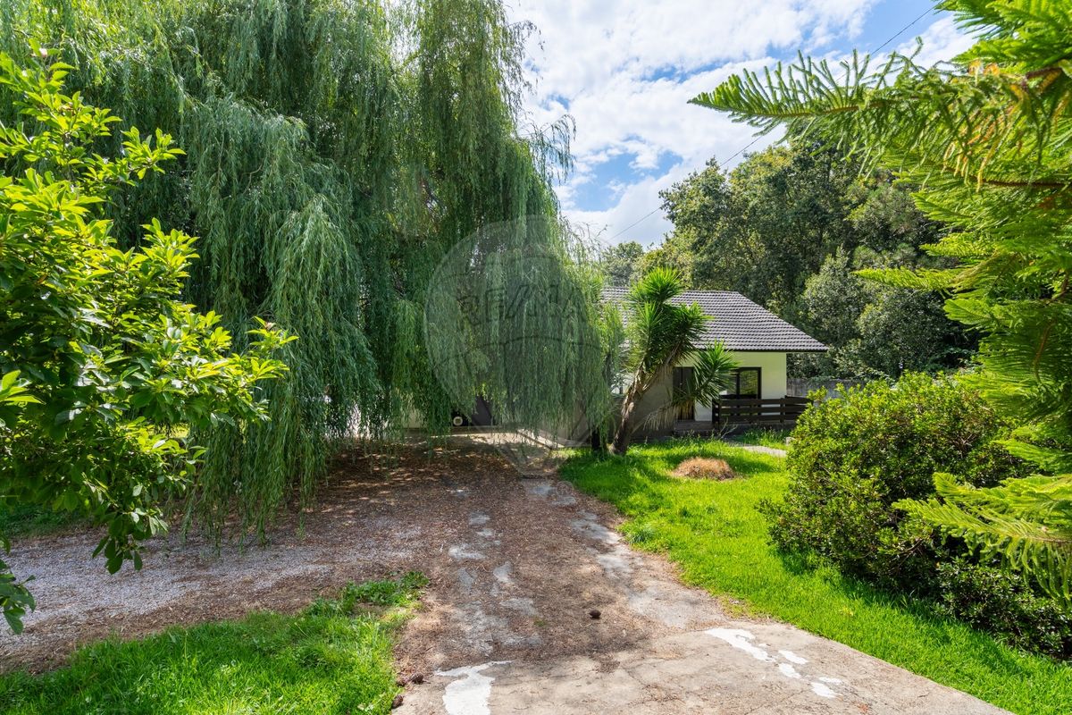 listing 123001034-1556 picture-0