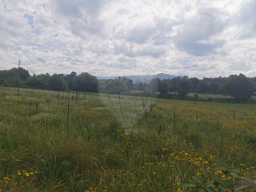 listing 123001029-214 picture-0