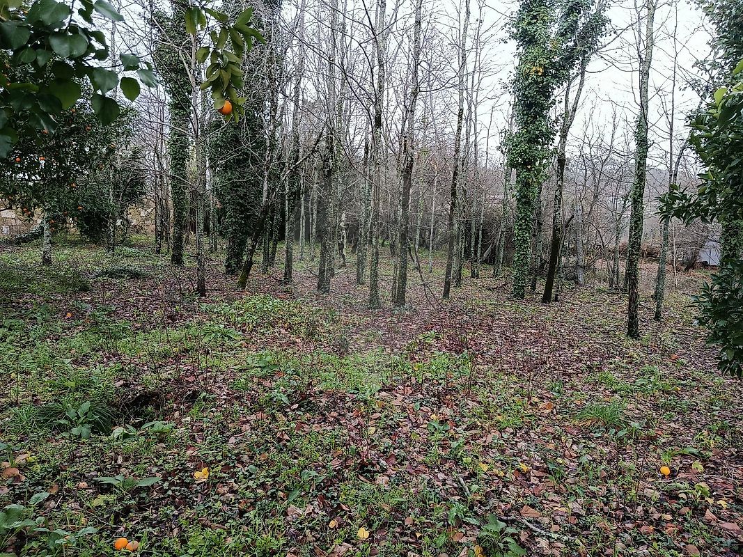 Moradia T1 à venda em Prado (São Miguel), Vila Verde — foto 13