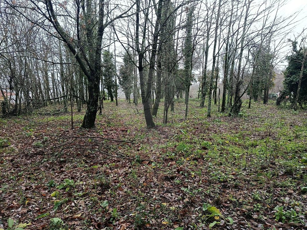Moradia T1 à venda em Prado (São Miguel), Vila Verde — foto 14