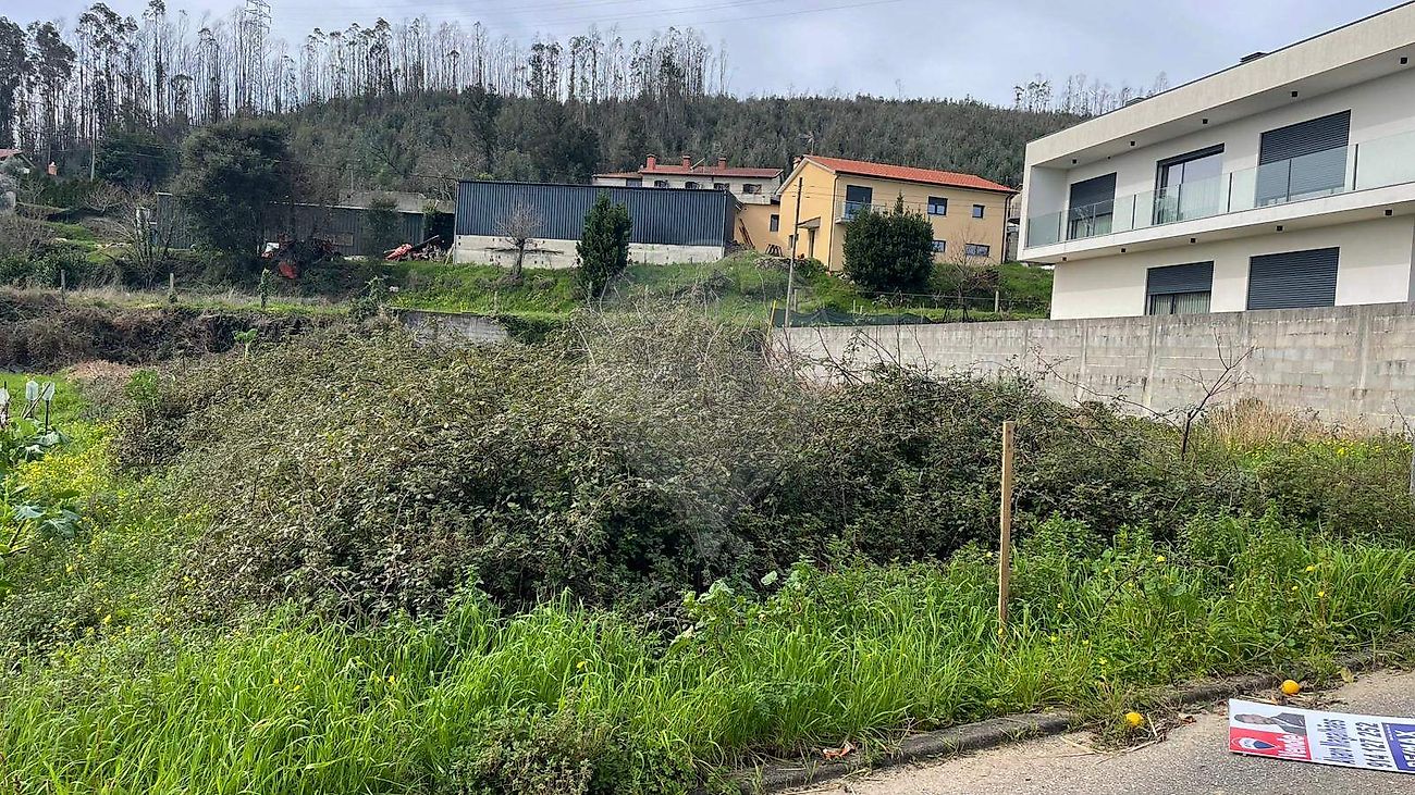 Terreno - Branca, Albergaria-a-Velha, Aveiro
