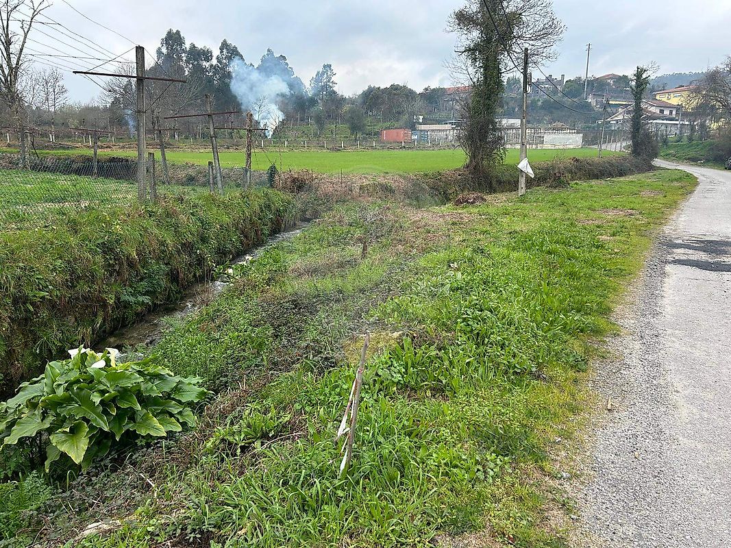 Terreno - Pico de Regalados, Gondiães e Mós, Vila Verde, Braga