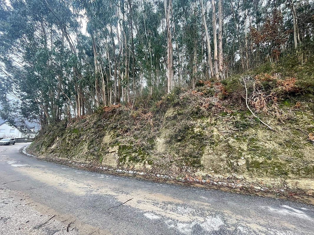 Terreno - Ribeira do Neiva, Vila Verde, Braga