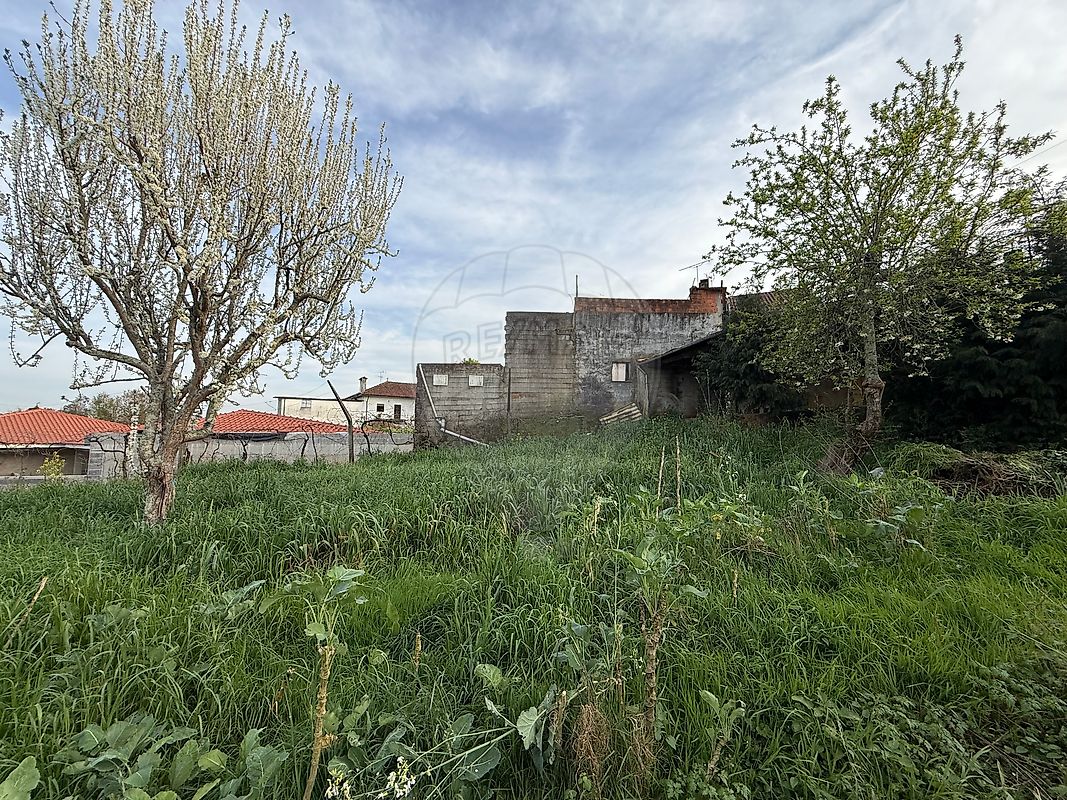 Terreno - Cervães, Vila Verde, Braga