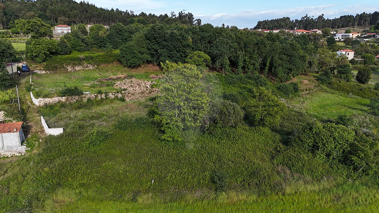 Terreno - Baltar, Paredes, Porto
