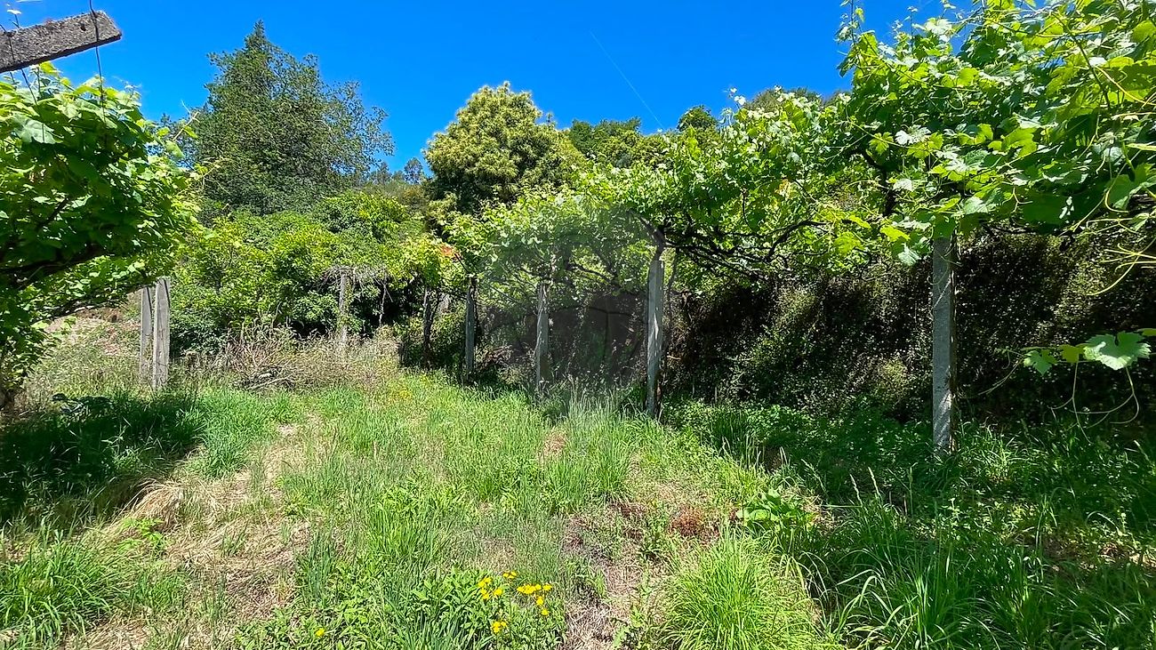 Moradia T1 à venda em Rio Frio, Arcos de Valdevez — foto 10