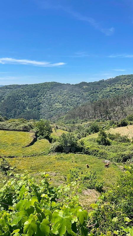Moradia T1 à venda em Rio Frio, Arcos de Valdevez — foto 19