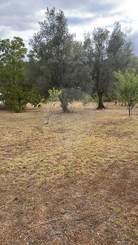 Apartamento à venda em Vila Verde