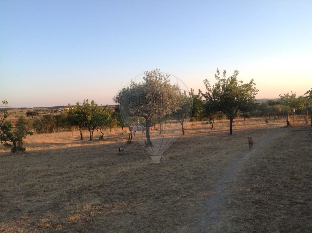 Terreno  para venda