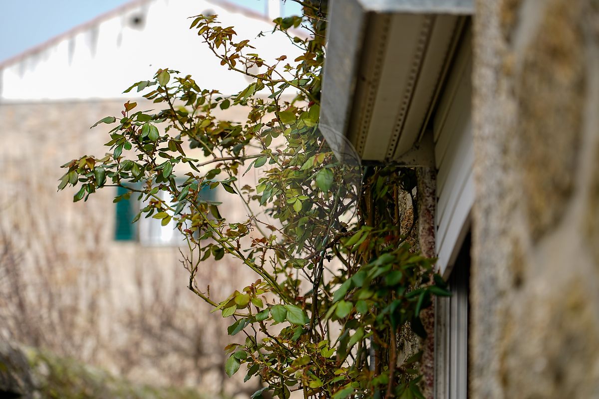 Apartamento T4 à venda em Castelo Branco