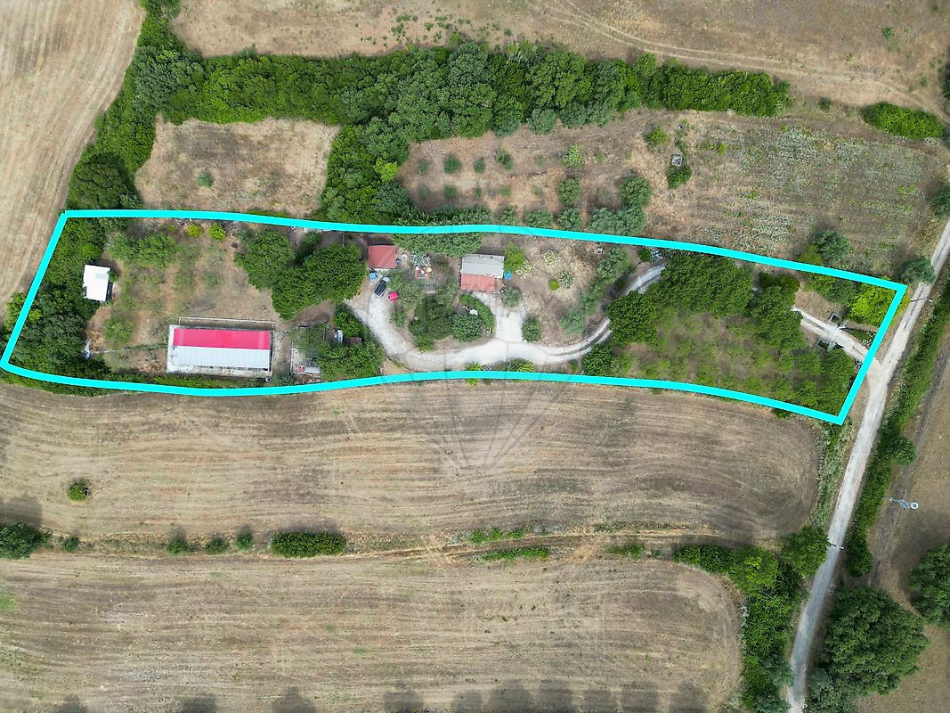 Terreno - Pontével, Cartaxo, Santarém