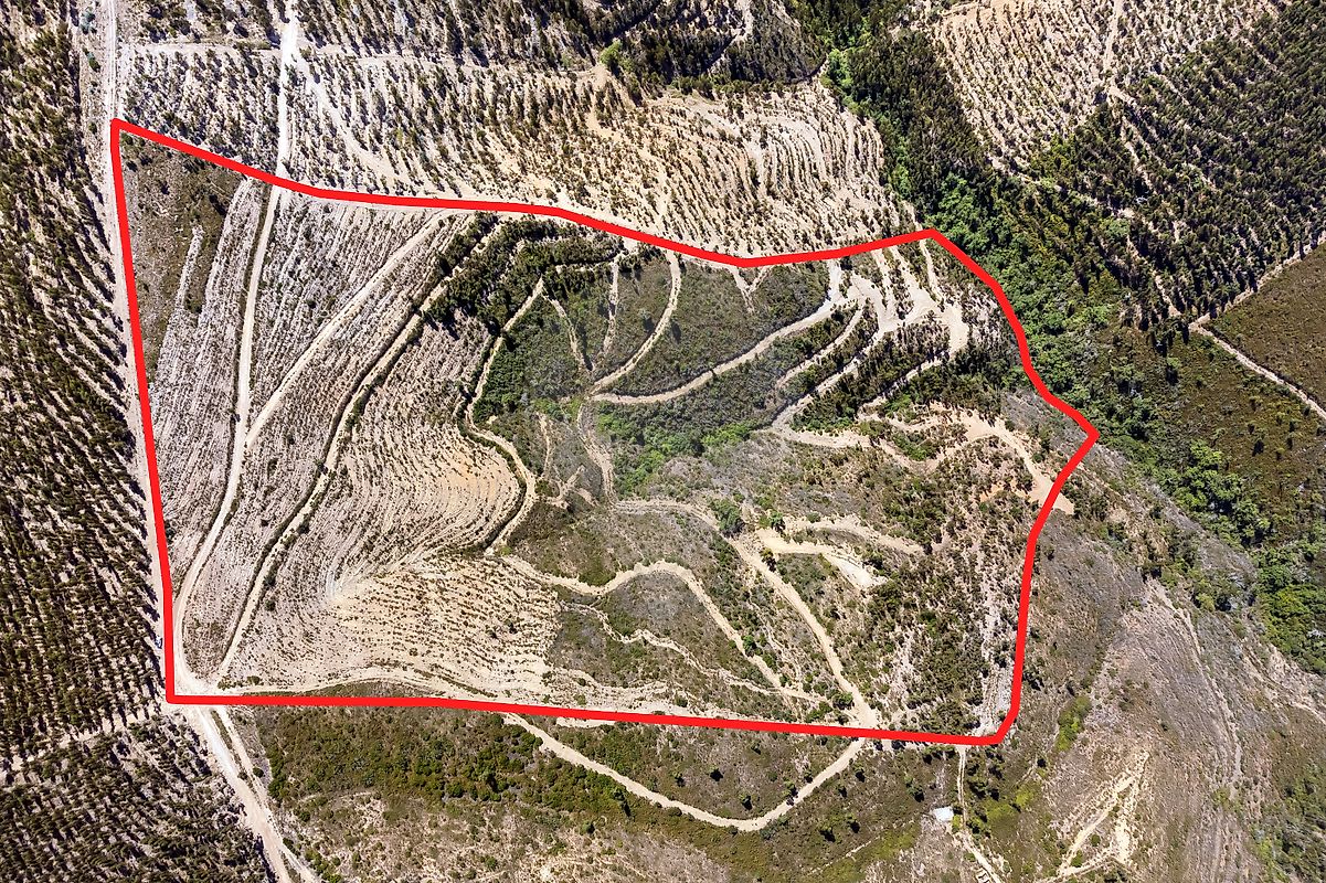 Terreno à venda em Monchique
