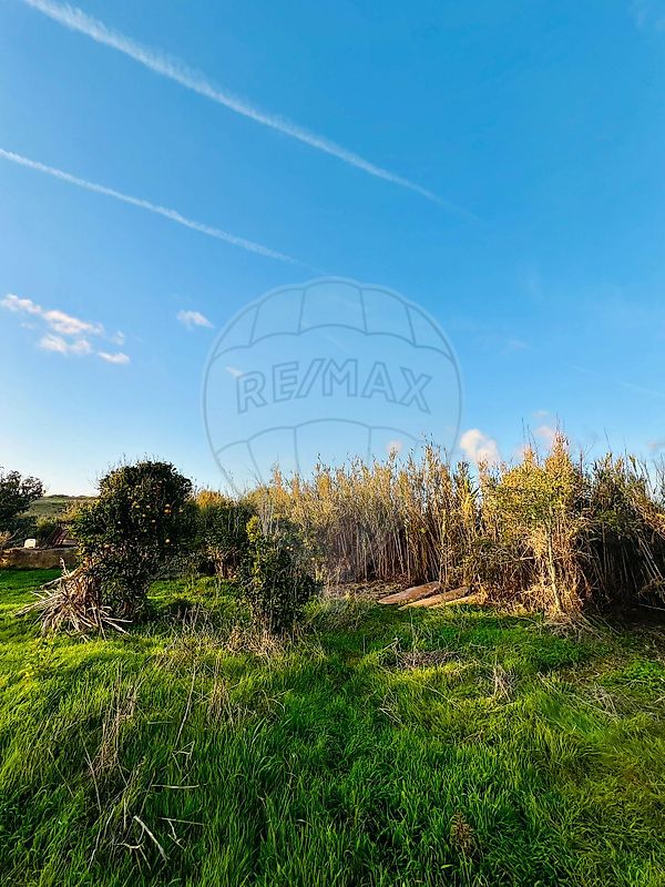 listing 123041060-39 picture-0