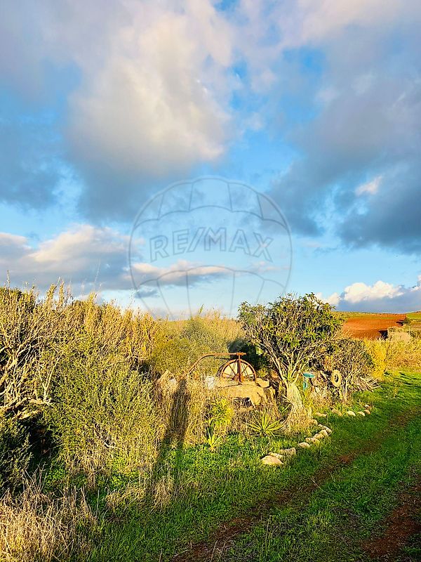 listing 123041060-39 picture-0