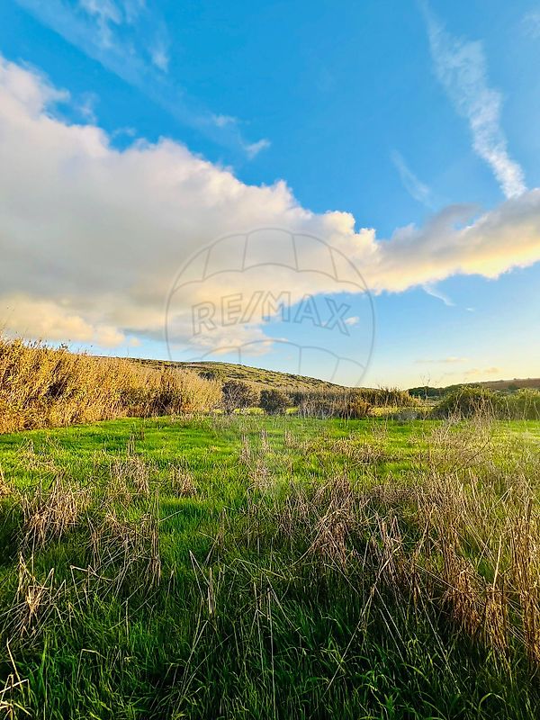 listing 123041060-39 picture-0