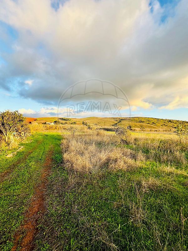 listing 123041060-39 picture-0