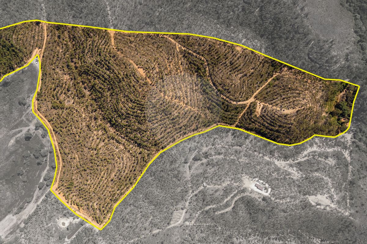 Terreno  para venda