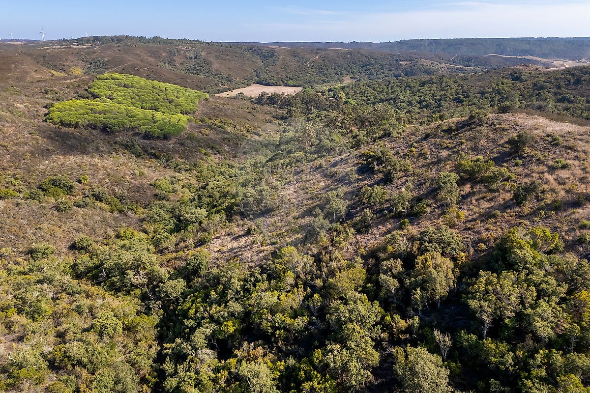 Terreno para venda