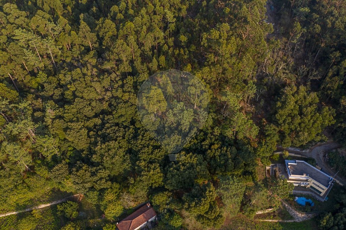 Terreno à venda em Caminha