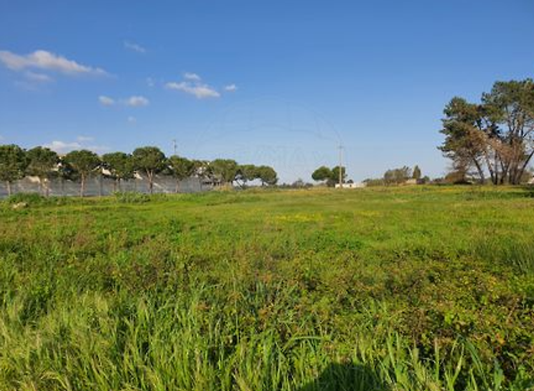 Terreno à venda em Santo Tirso