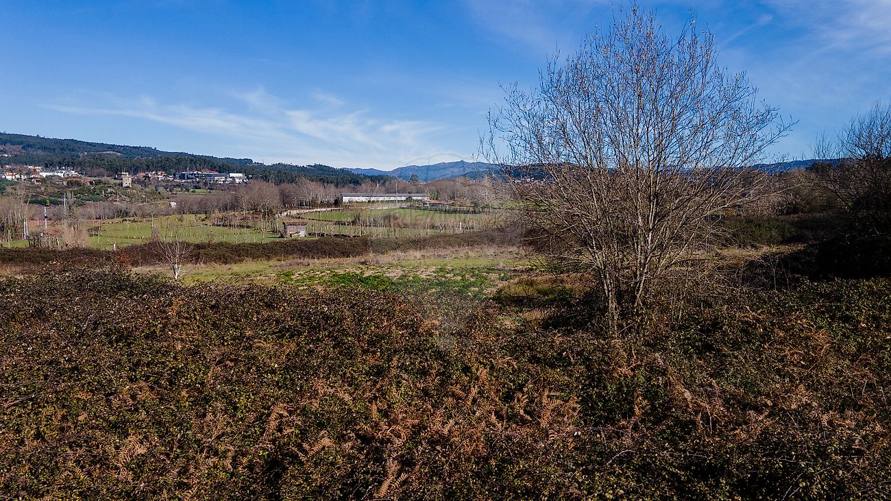 Moradia T3 à venda em Souto Santa Maria, Souto São Salvador e Gondomar, Guimarães — foto 10