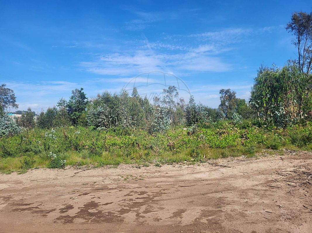 Land for sale in Santo Tirso, Portugal — €750,000
