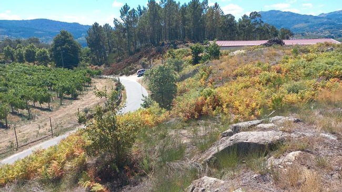 Land for sale in Cabeceiras de Basto, Portugal — €120,000