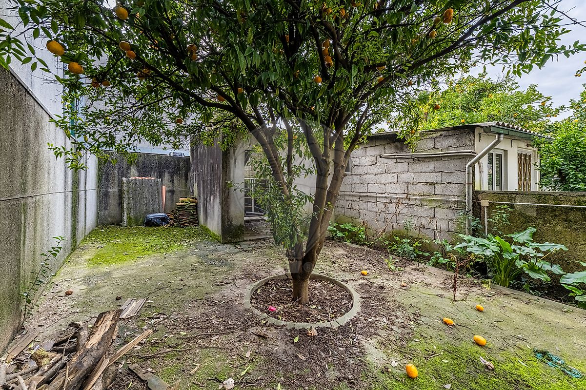 listing 123061230-204 picture-0
