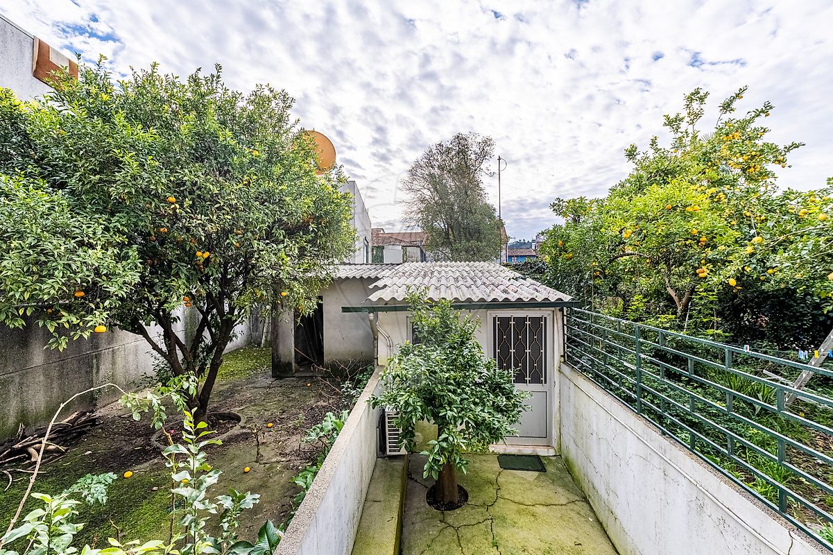 listing 123061230-204 picture-0