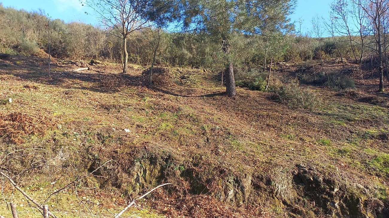 Land for sale in Cabeceiras de Basto, Portugal — €59,000