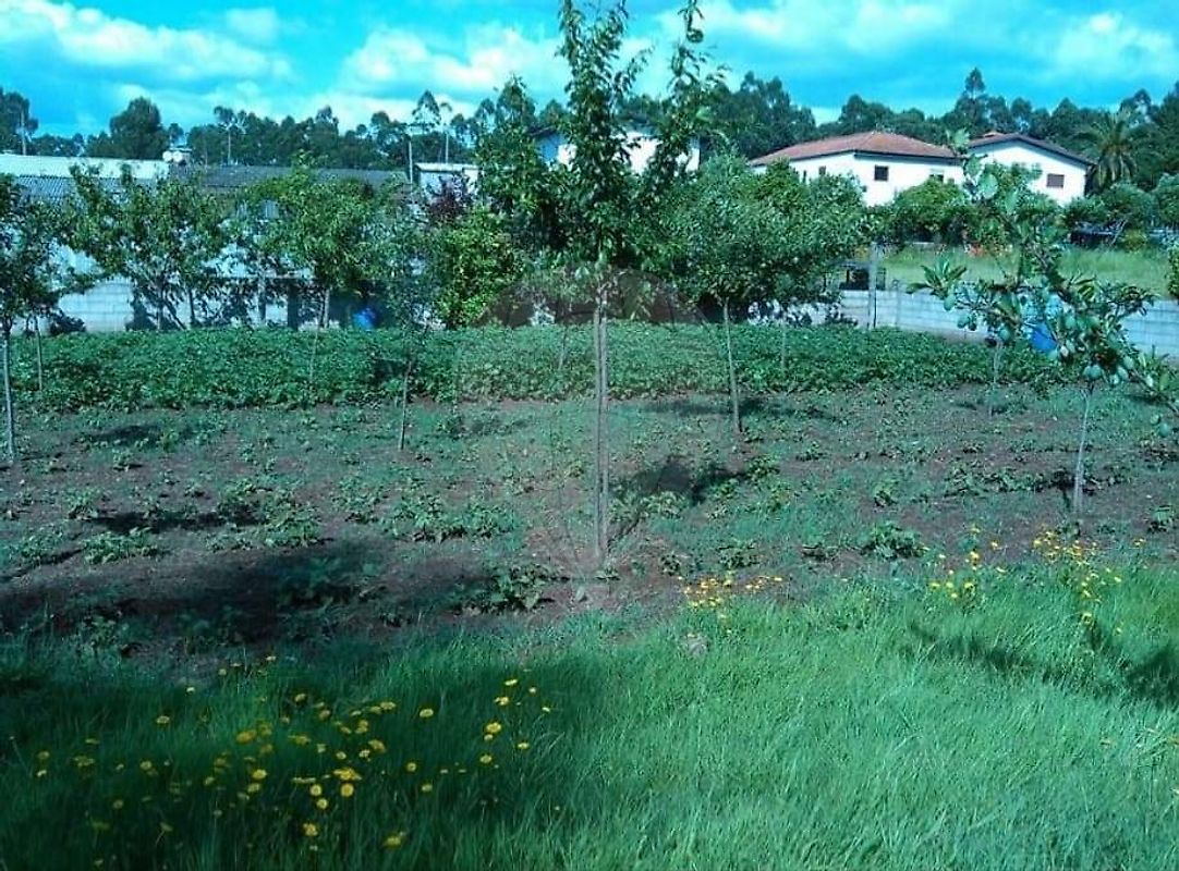 Terreno em Santo Tirso