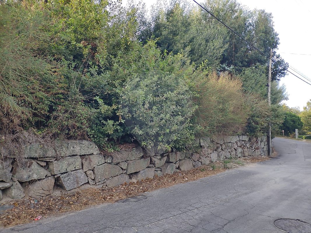 Land for sale in Vila Nova de Famalicão, Portugal — €120,000