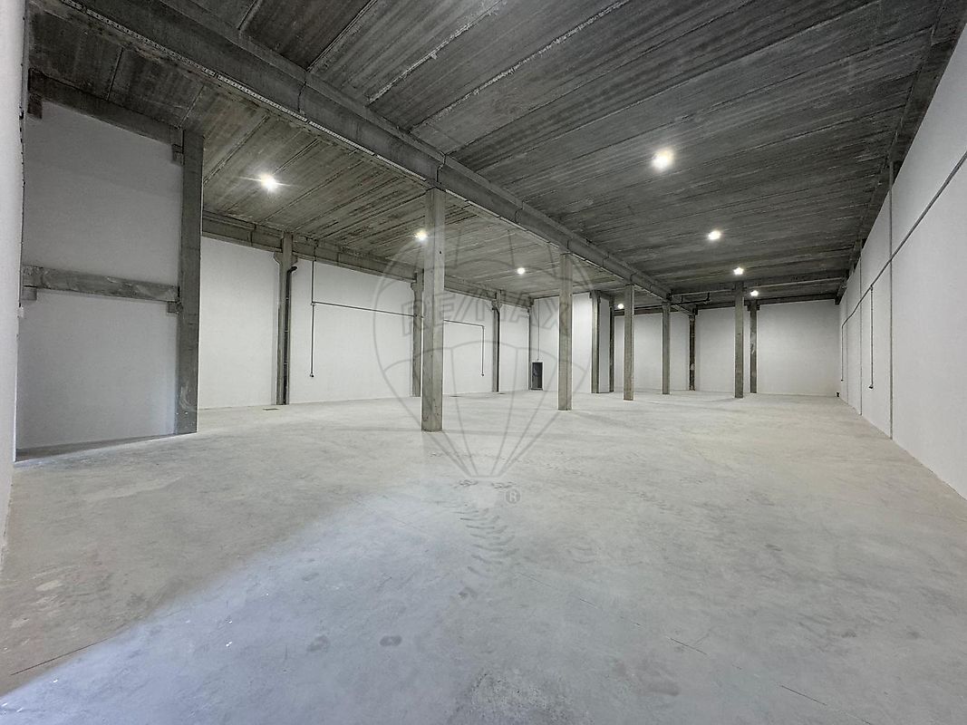 listing 123061236-200 picture-0