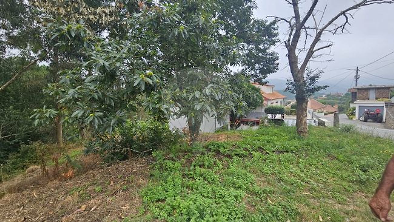 Terreno para venda