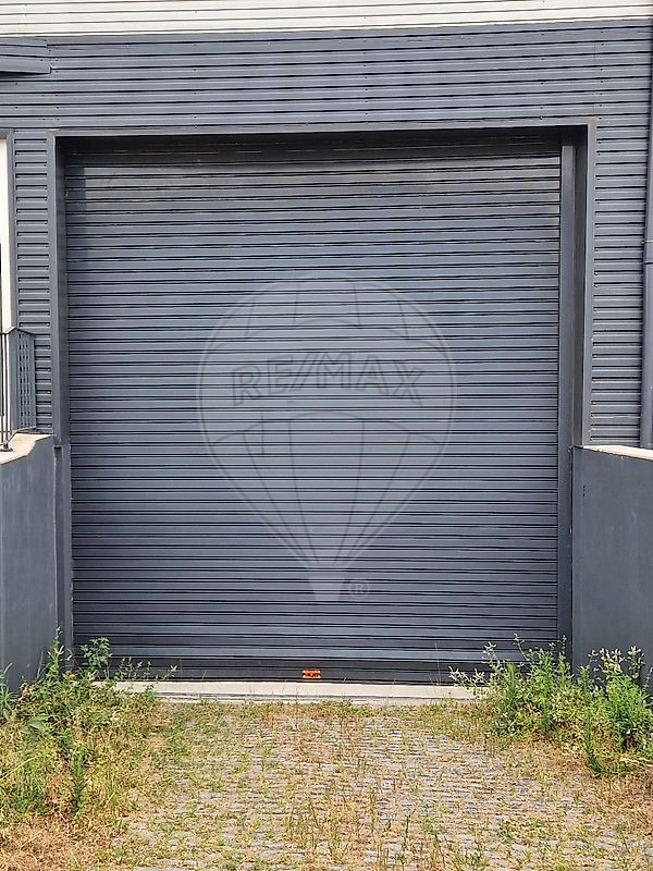 listing 123061230-317 picture-0