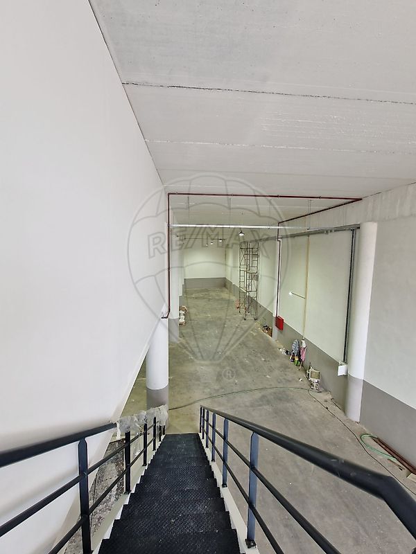 listing 123061230-317 picture-0