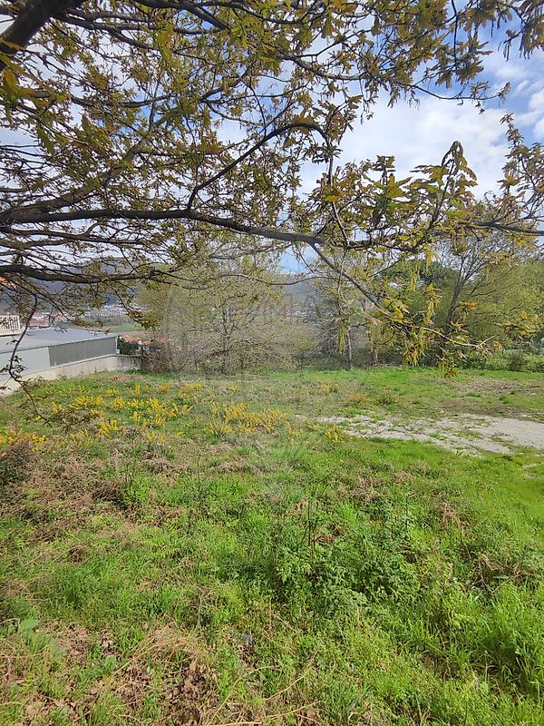 Terreno - Serzedo e Calvos, Guimarães, Braga
