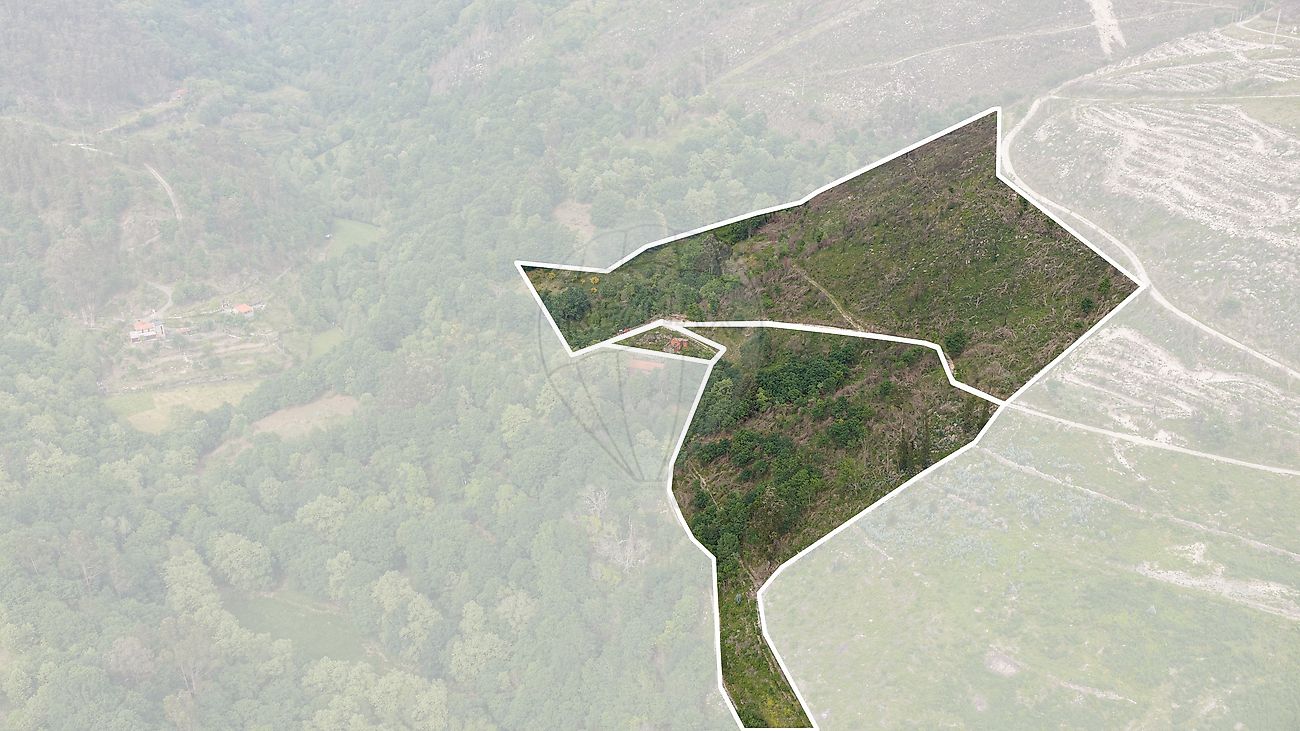 Terreno - Rio Douro, Cabeceiras de Basto, Braga
