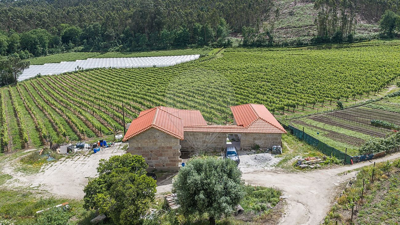 Quinta - Sande Vila Nova e Sande São Clemente, Guimarães, Braga