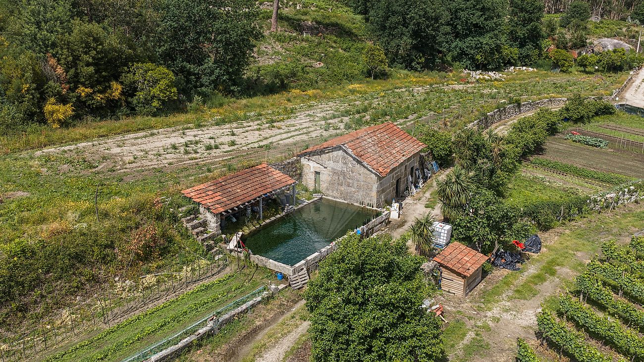 Quinta - Sande Vila Nova e Sande São Clemente, Guimarães, Braga