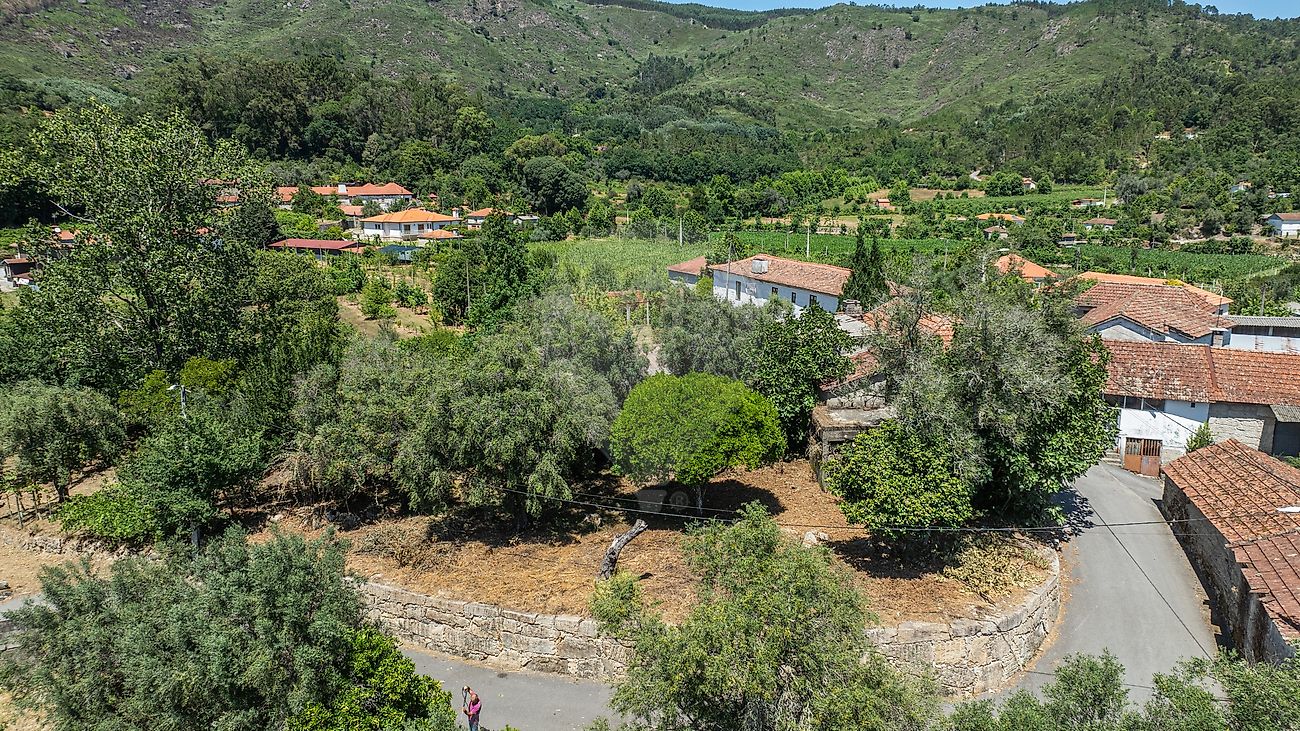 Moradia T3 à venda em Vale de Bouro, Celorico de Basto — foto 12