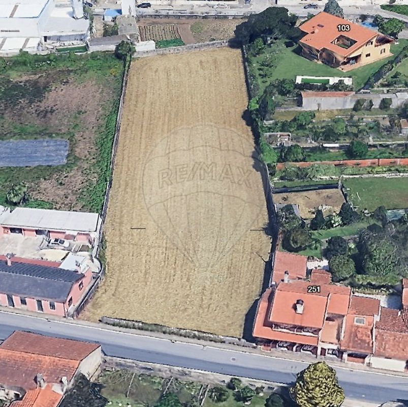 Terreno - Árvore, Vila do Conde, Porto