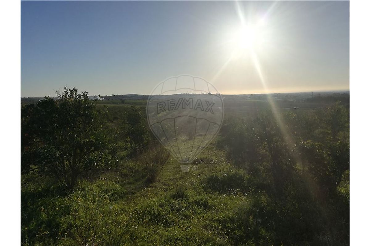 Terreno  à venda em Alpiarça
