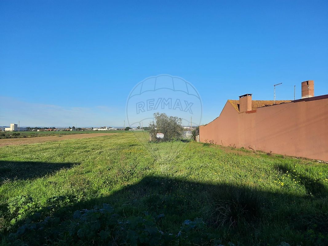Land for sale in Alpiarça, Portugal — €70,000