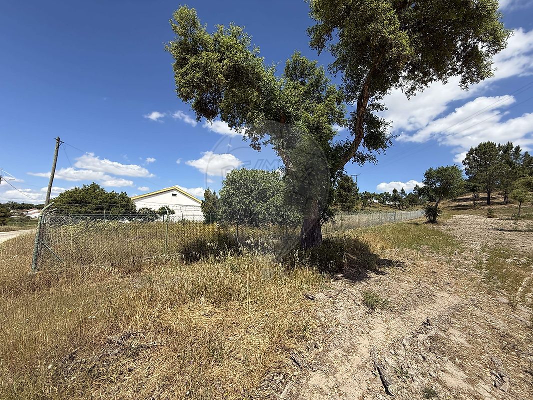 Moradia T3 à venda em Raposa, Almeirim — foto 29