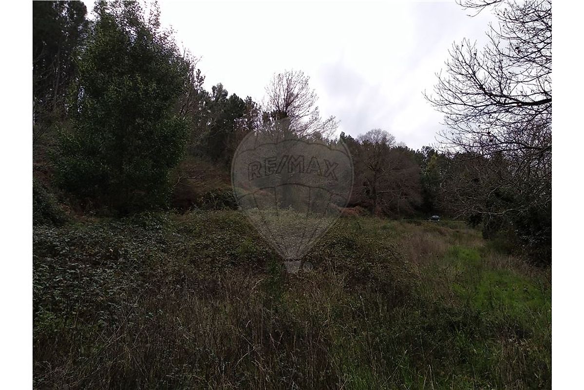 Land for sale in Lousã, Portugal — €70,000