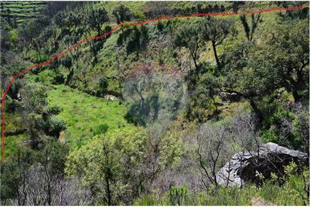 Terreno  para venda